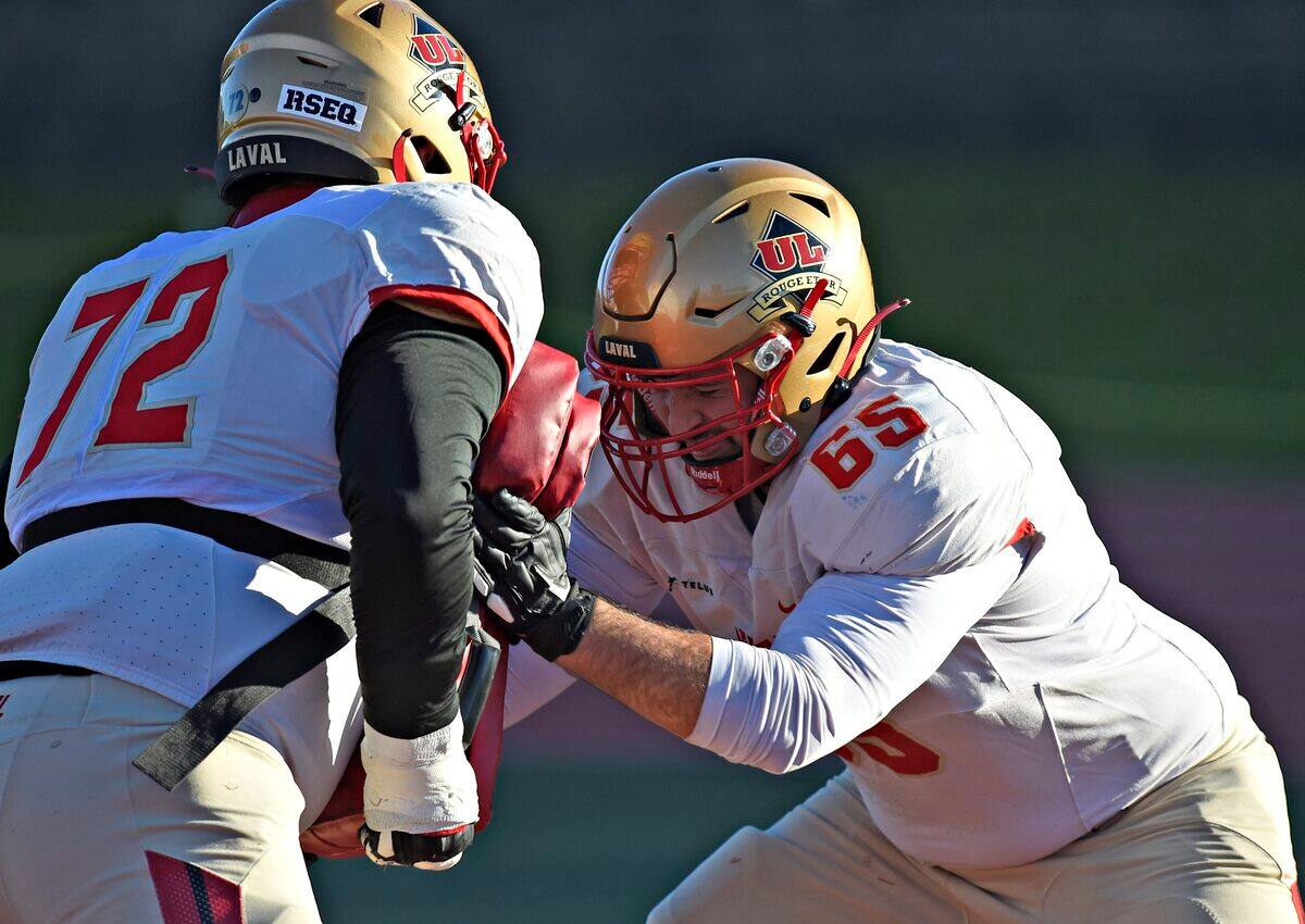 RSEQ, Football Universitaire Québecois | Infos, Stats & Vidéos - TVA Sports