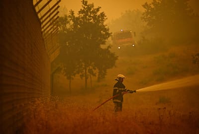 A firefighter waters along the edge of a forest during a fire near the town of Lège-Cap-Ferret, southwest France, July 24, 2026