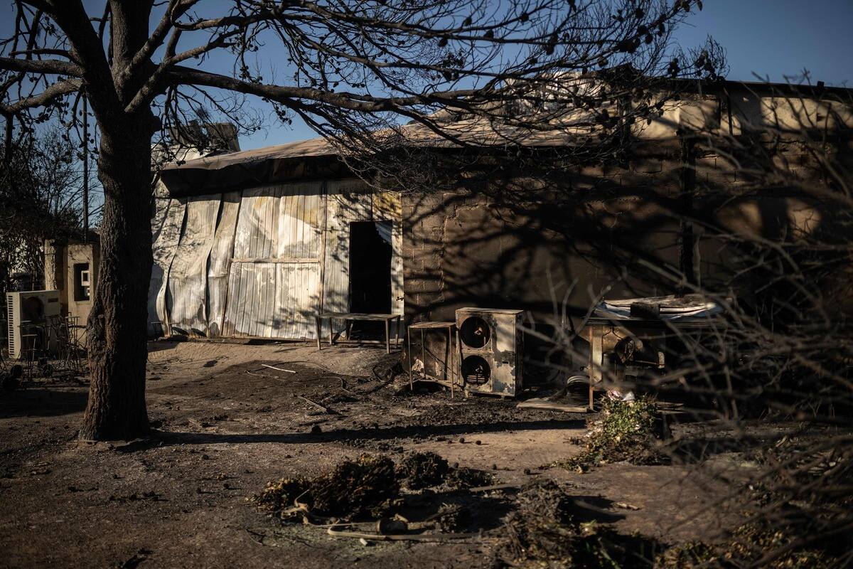 EN FOTOS | Incendios en Grecia: los bomberos avanzan, se encuentra el cuerpo en una fábrica carbonizada