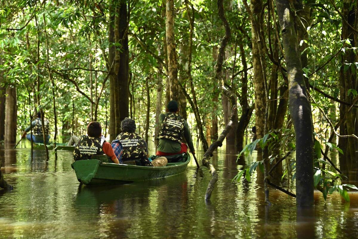 Les laborieuses recherches sur la piste des disparus d'Amazonie