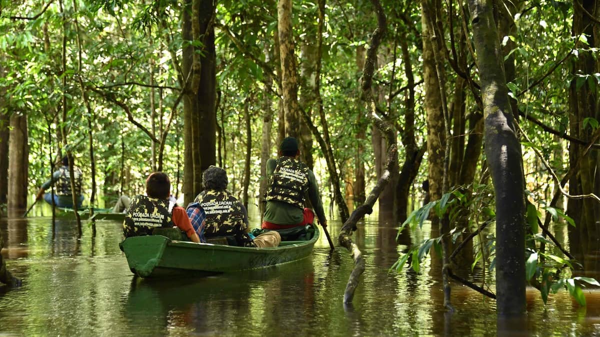 Les laborieuses recherches sur la piste des disparus d'Amazonie