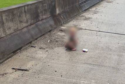 Un enfant de 1 an abandonn&eacute; par un voleur de voiture