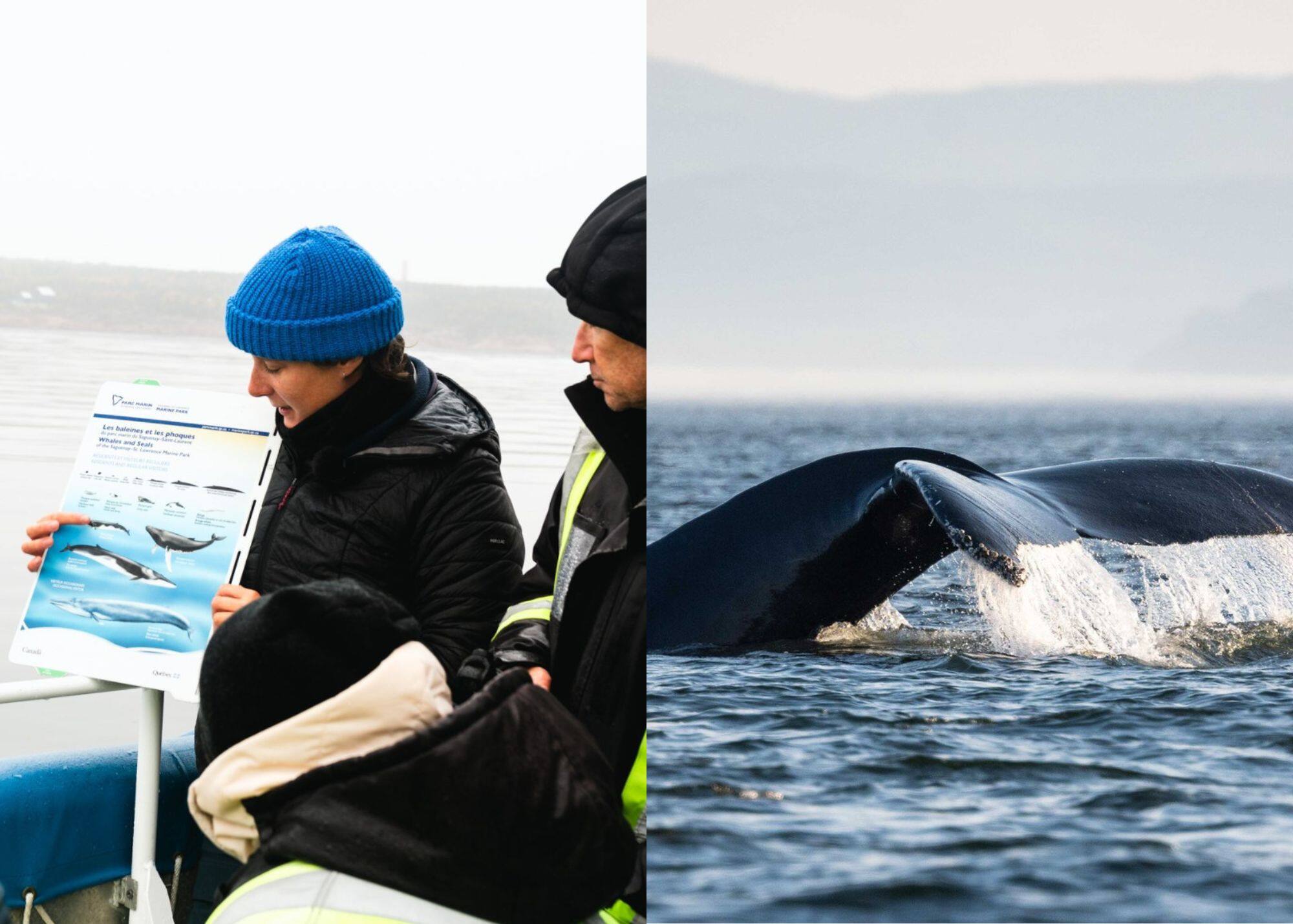 Le Québec parmi les «Best of the World 2026»