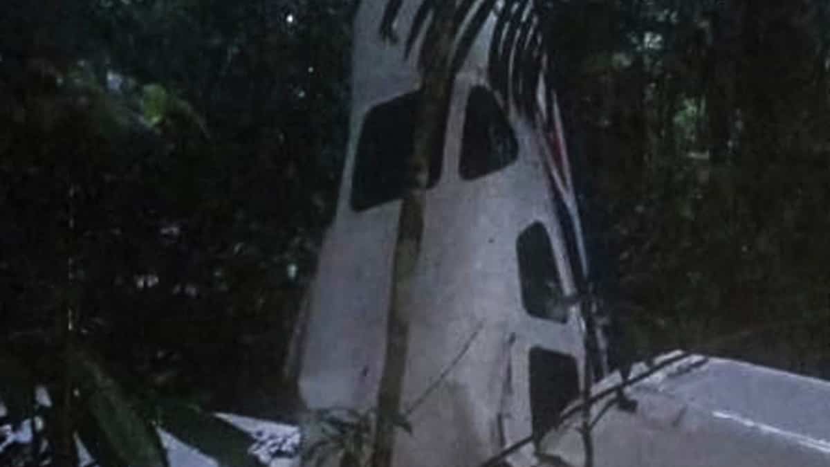 Four babies, including a baby, were found 15 days later in the Colombian Amazon Four babies, including a baby, were found 15 days later in the Colombian Amazon