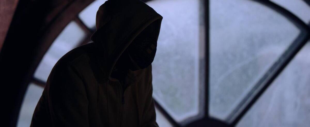 "Identity thieves": what drives fraudsters? 1