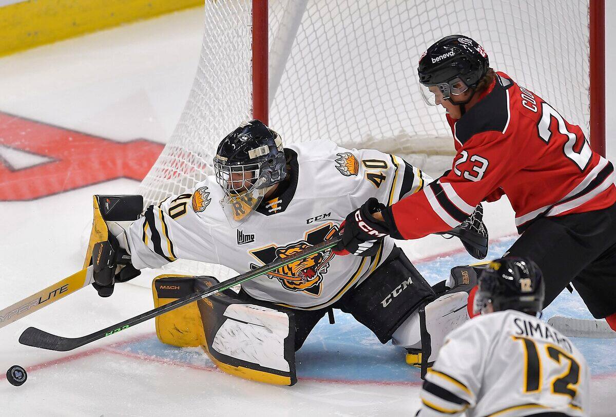 Début de la saison dans la LHJMQ qui succédera aux Remparts en tant