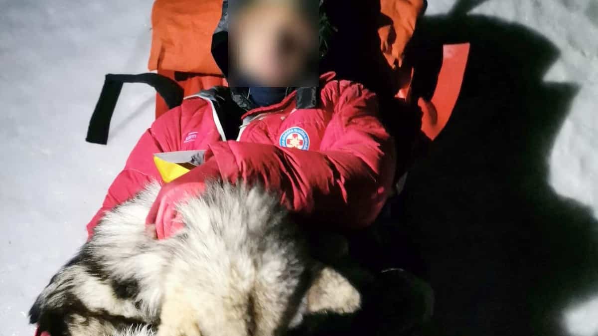 Un chien sauve un randonneur dans la montagne croate