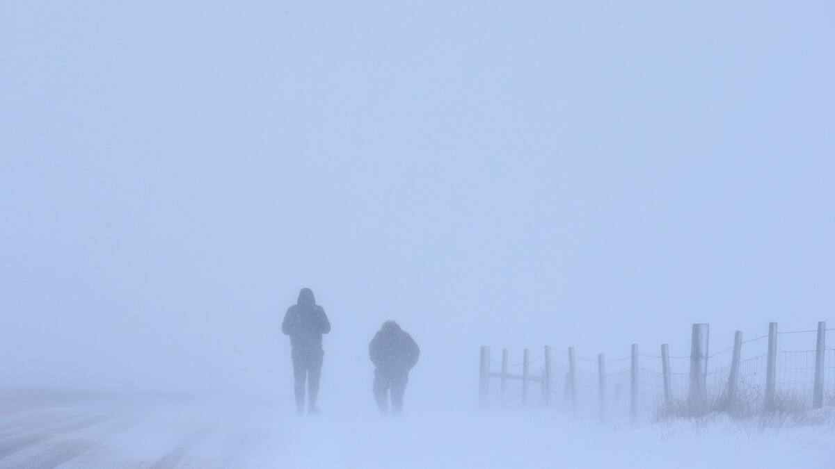 Tempête de neige: un important blizzard frappe les Prairies