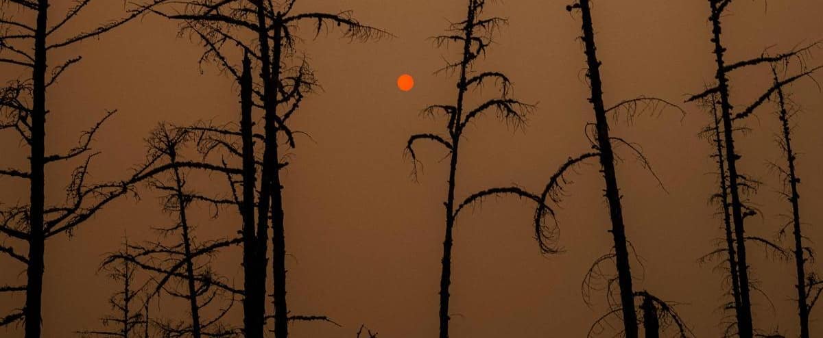 Cinco mitos sobre as mudanças climáticas Cinco mitos sobre as mudanças climáticas