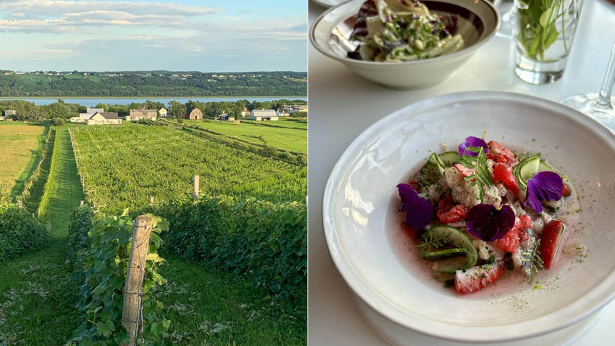 Côte-de-Beaupré : 9 arrêts gourmands à faire entre Québec et Charlevoix