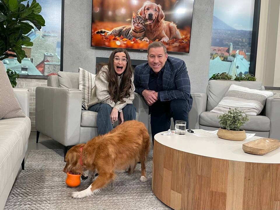 Les parasites n’ont pas dit leur dernier mot 