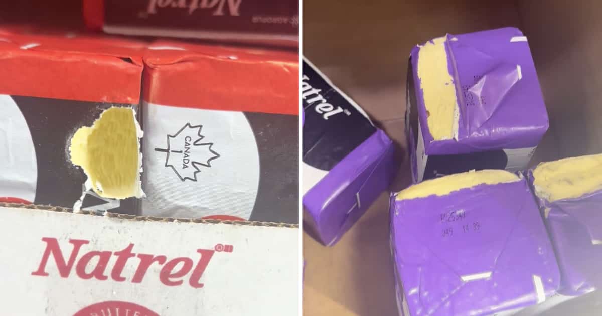 Costco: un magasin montréalais pourrait avoir un petit problème de rats qui aiment grignoter du beurre (ou de manutentionnaire maladroit)