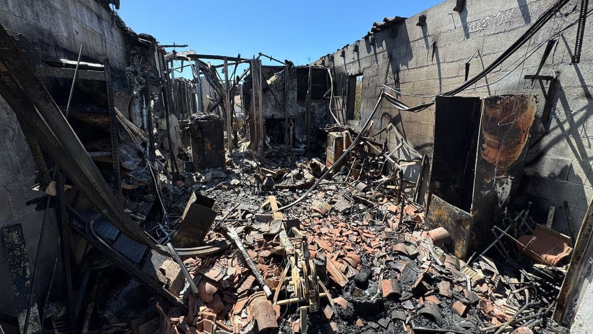 IMAGES | Voitures calcinées, maisons brûlées: scènes de désolation à Marseille après l’incendie