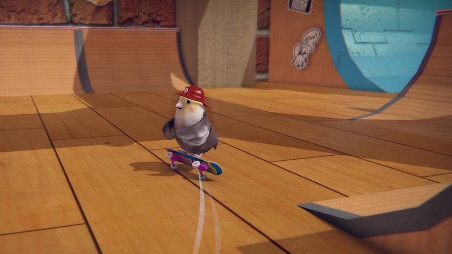 SkateBIRD