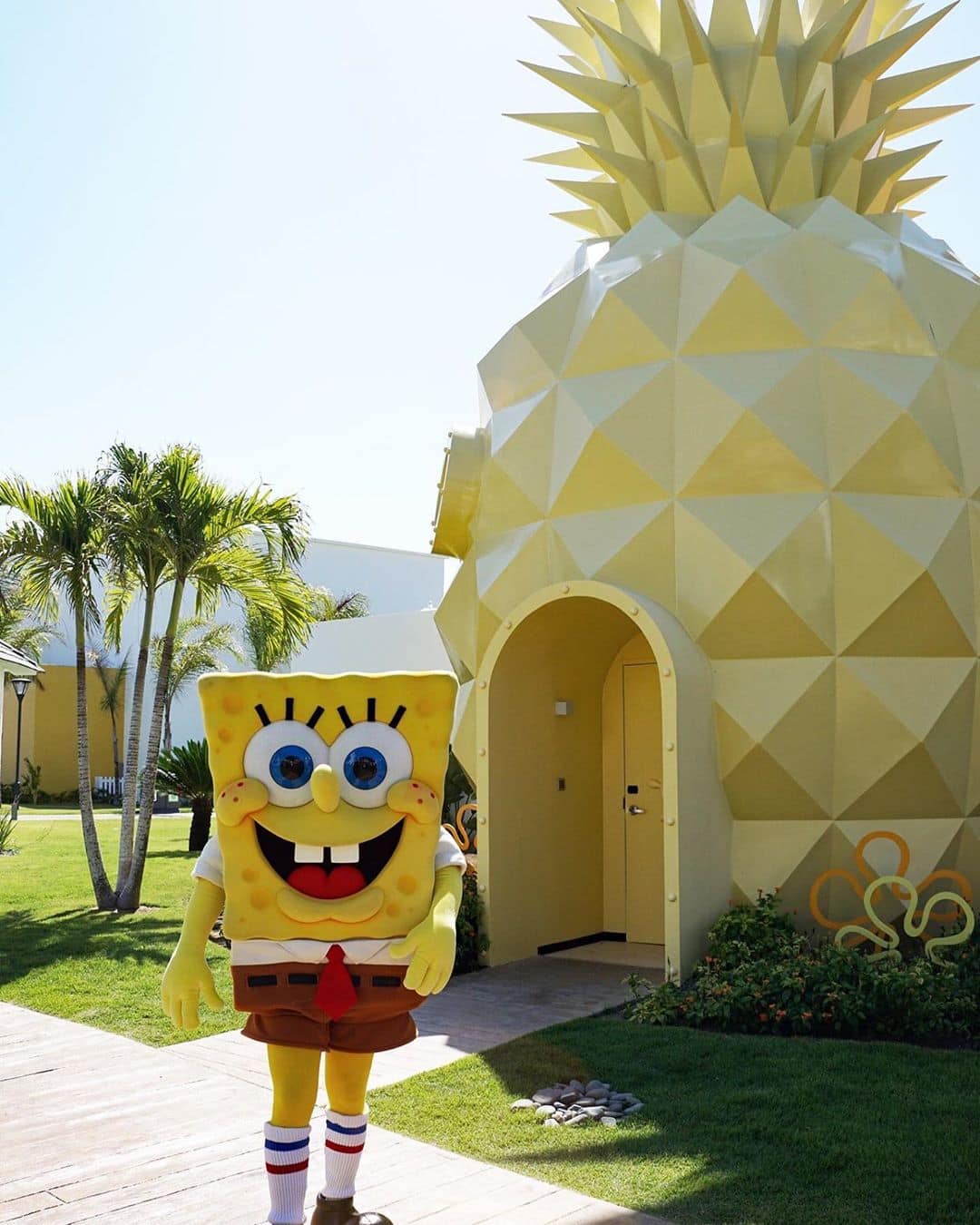 Maison De Bob L Eponge Ventana Blog