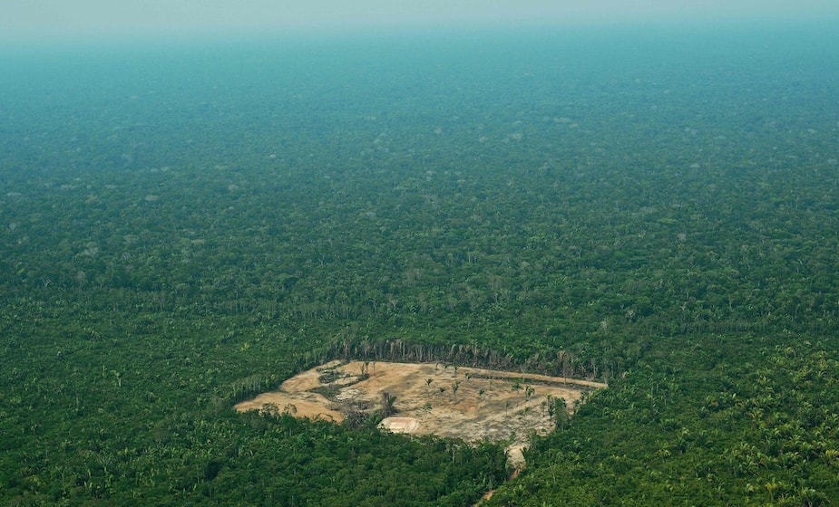 Image principale de l'article L’Amazonie peut respirer un peu