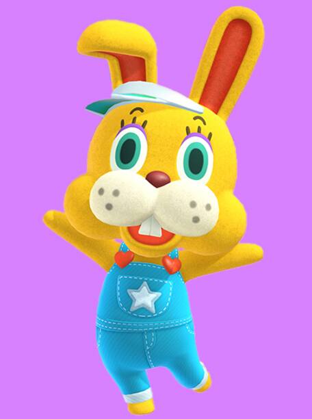 Comment Agrandir Son Porte Monnaie Animal Crossing