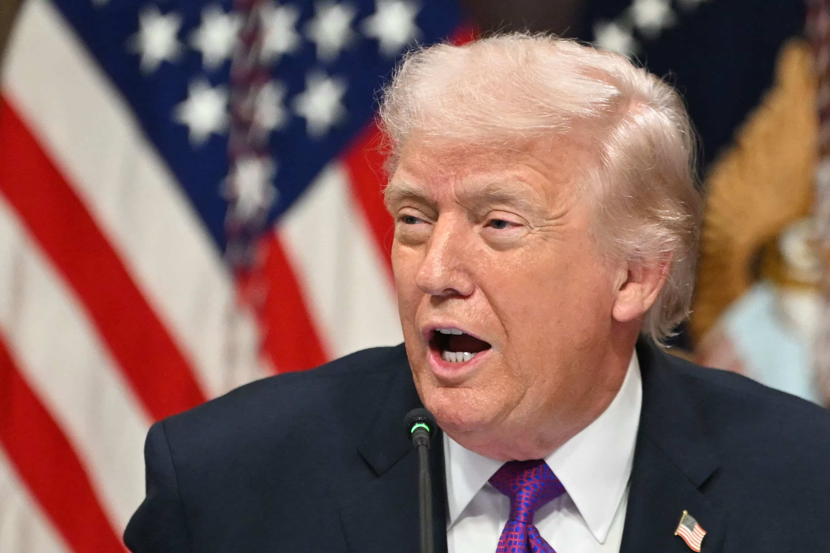 Une vingtaine d'&Eacute;tats am&eacute;ricains attaquent les nouveaux droits de douane de Donald Trump