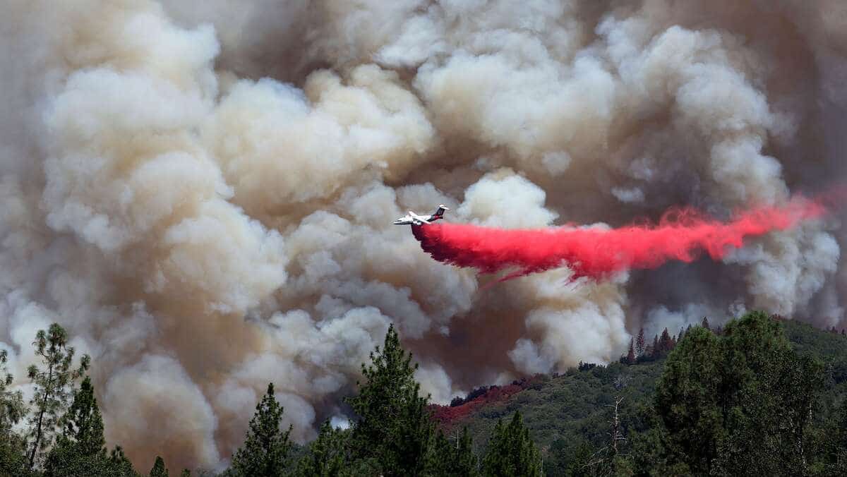 Le feu de forêt en Californie de plus en plus sous contrôle
