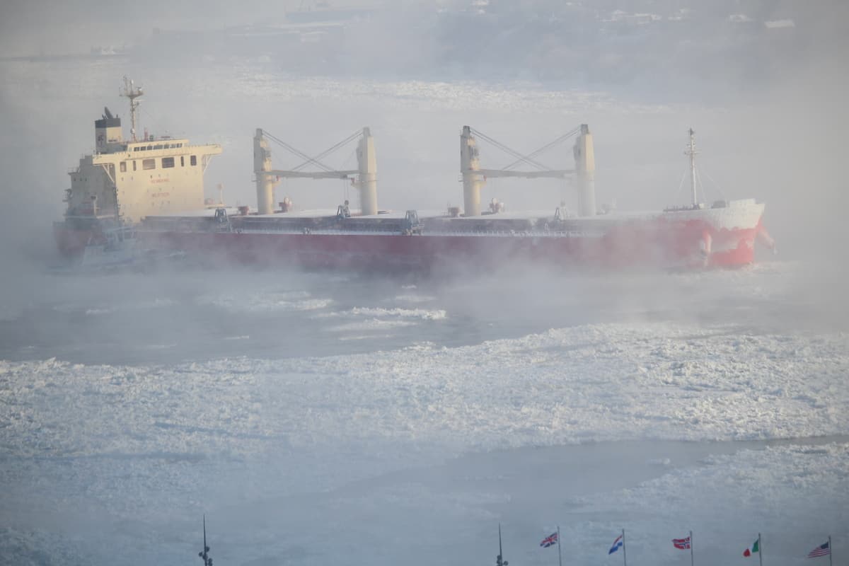 Qu&eacute;bec: collision sur le fleuve Saint-Laurent