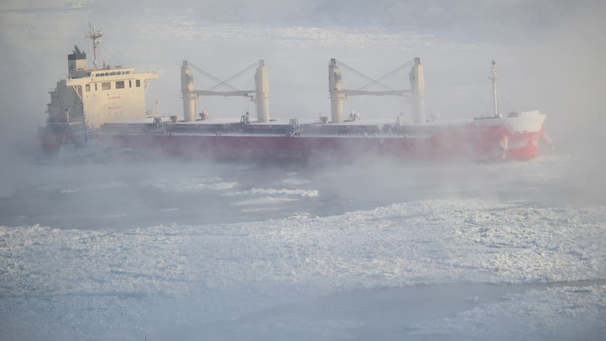 Québec: collision sur le fleuve Saint-Laurent