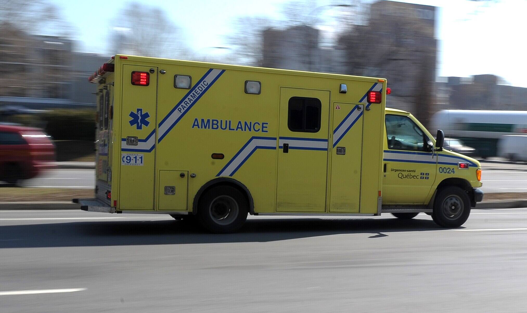 Une fillette bless&eacute;e &agrave; la t&ecirc;te par un chien