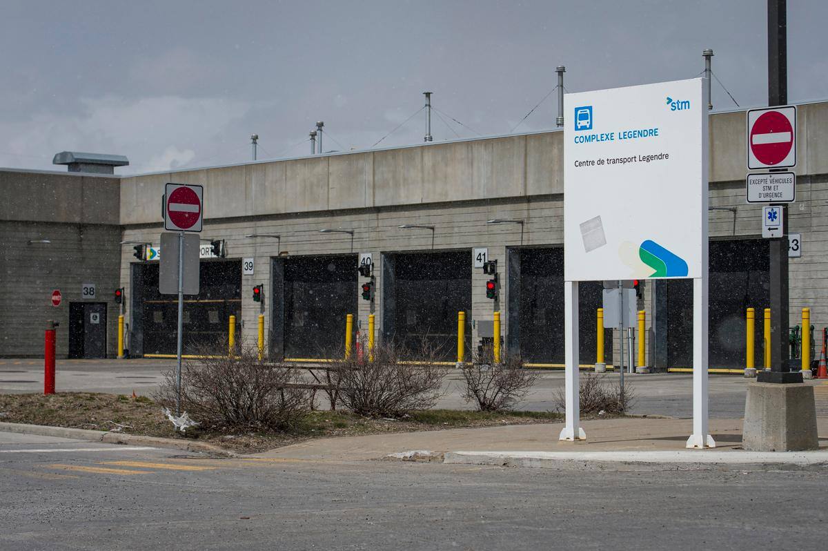 Tribunal visual data 8