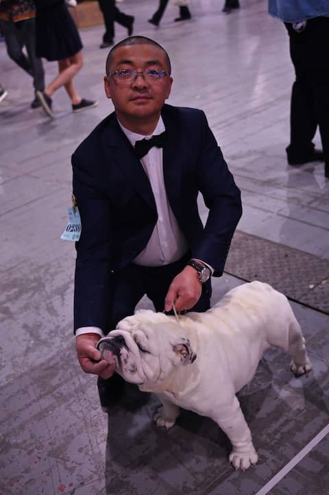 The English Bulldog is mouth watering for its success