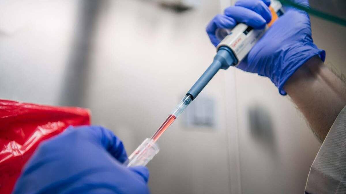 L'OMS surveille un sous-variant du variant Delta