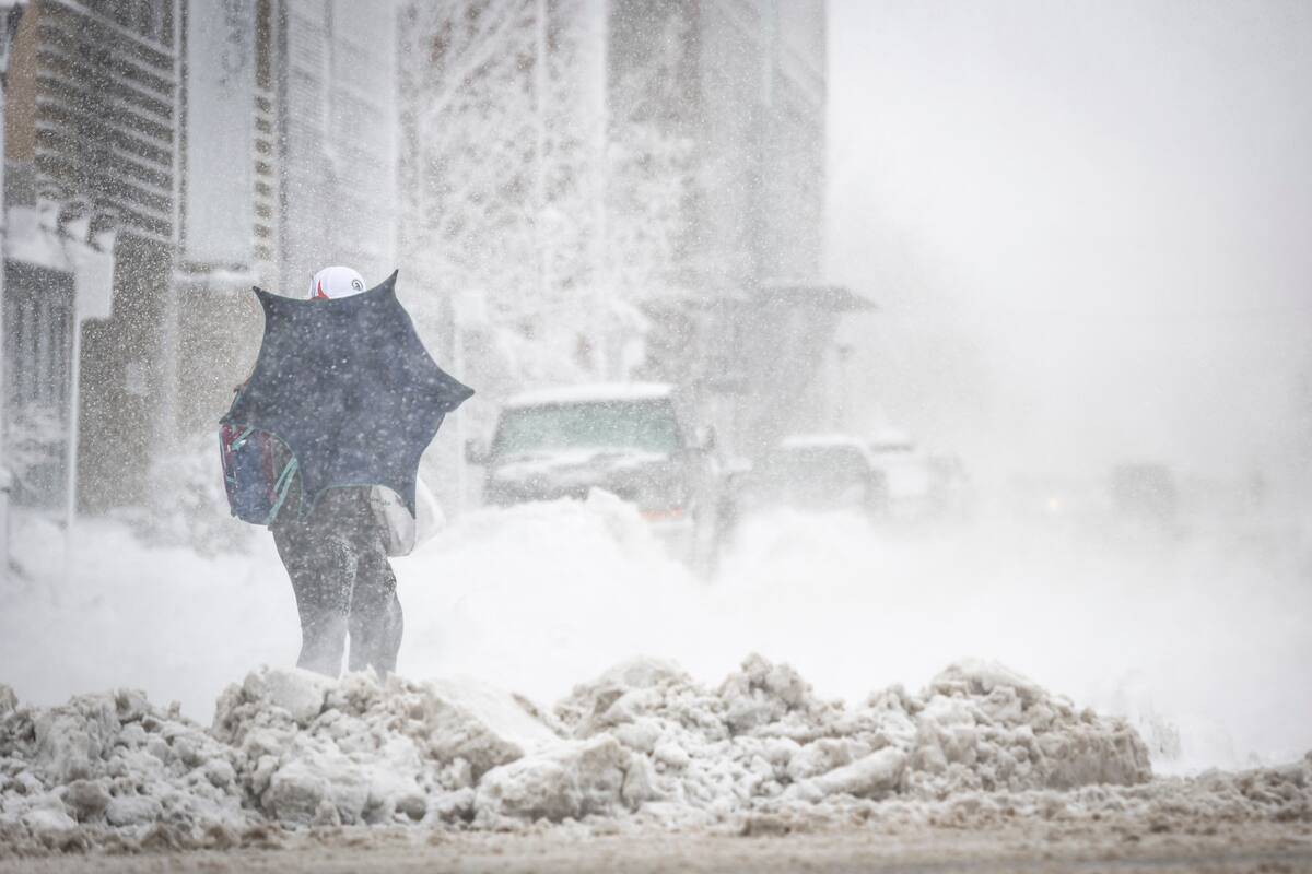 Tempête printanière voici la liste des écoles fermées JDM