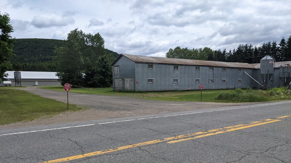 Un troisième élevage touché dans la Capitale-Nationale par la grippe aviaire