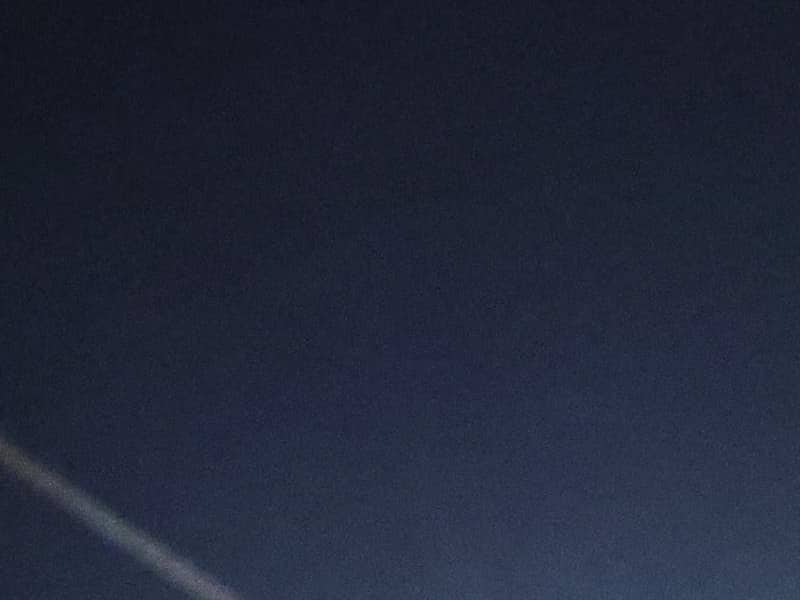 Les États - Unis sapprêtent à renvoyer des migrants iraniens , selon une ONG