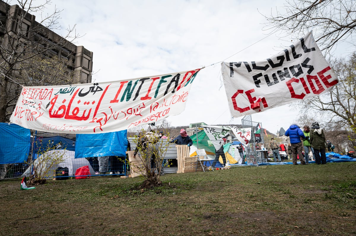 Pourquoi un campement propalestien à l'Université McGill? | JDM