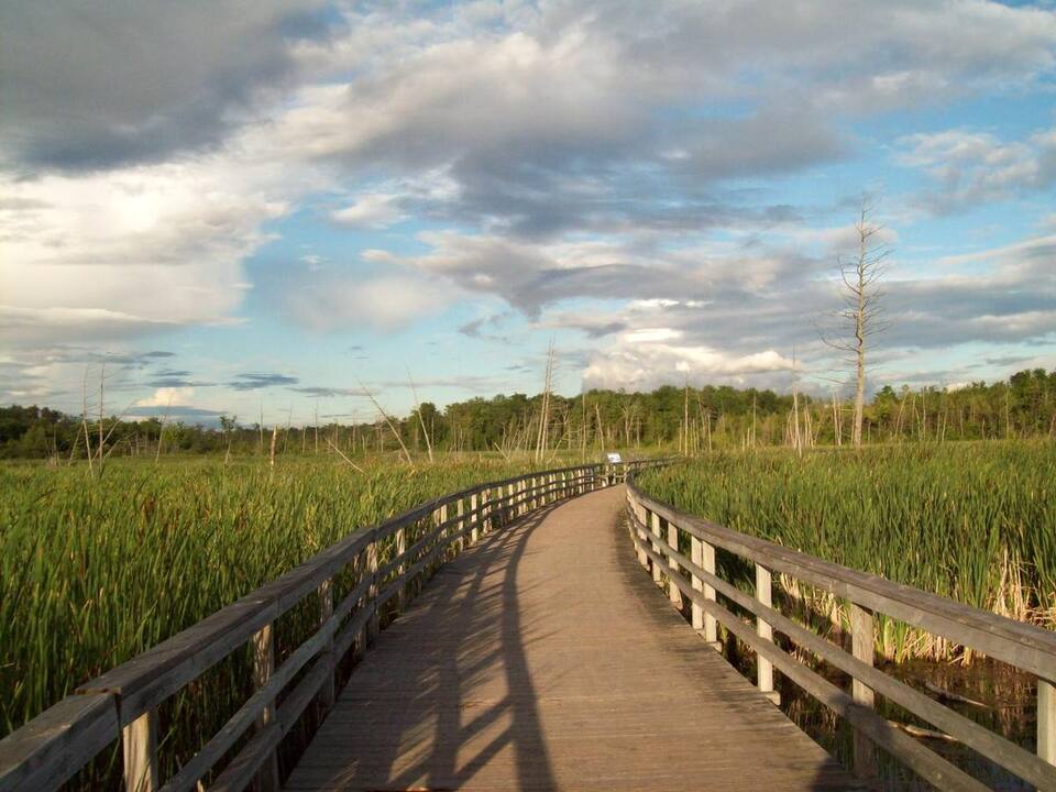 Création du premier paysage humanisé du Québec à L’Île-Bizard | JDM