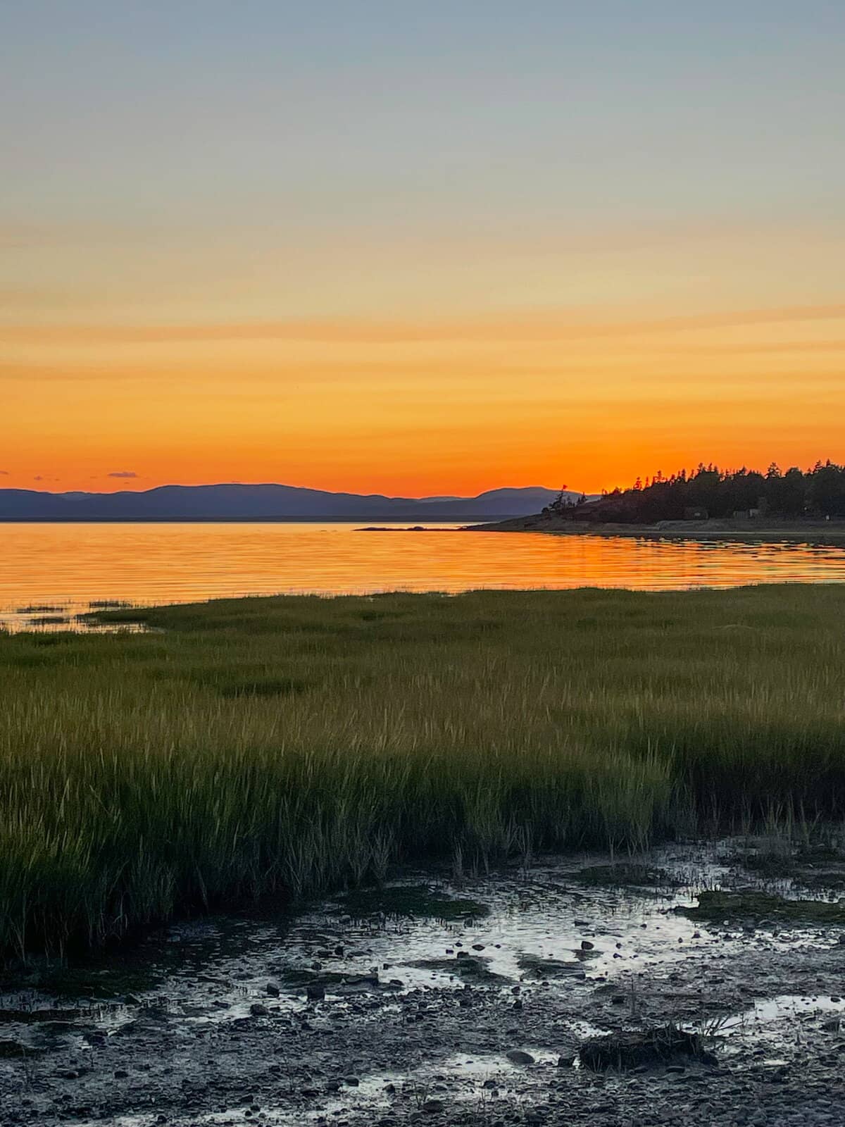 Le camping municipal de la Pointe-de-Rivi&egrave;re-du-Loup: prendre une bouff&eacute;e d&rsquo;air salin et faire le plein d&rsquo;&eacute;nergie au bord du Saint-Laurent