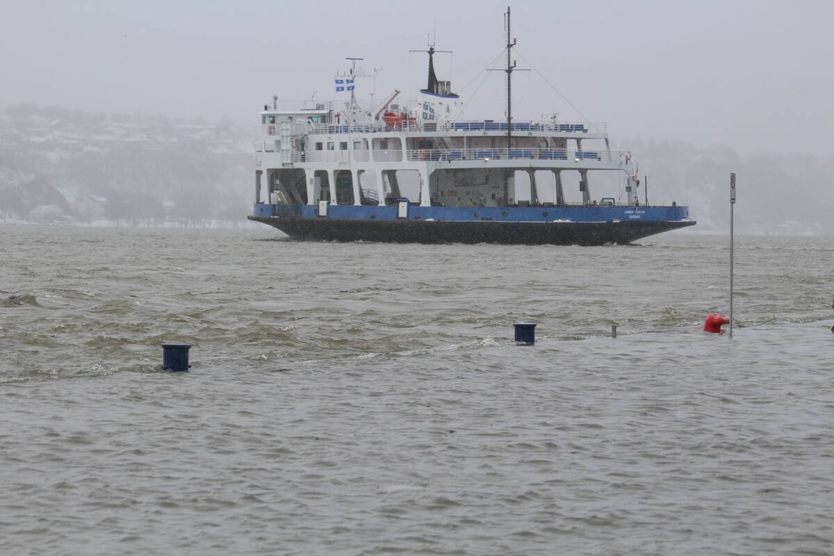 PHOTOS Le fleuve d borde dans le Vieux Port de Qu bec JDQ PHOTOS Le fleuve d borde dans le Vieux Port de Qu bec JDQ