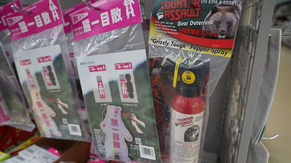 Bear spray triggered by mistake in post office, five people hospitalized Bear spray triggered by mistake in post office, five people hospitalized