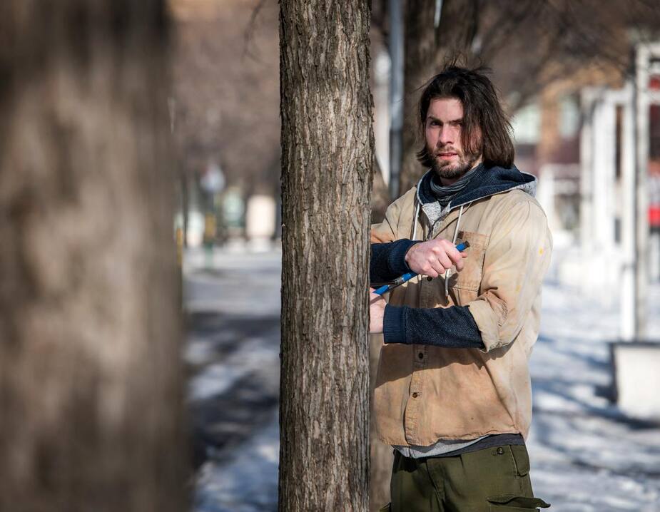 Image principale de l'article Une première étude complète des arbres de Montréal
