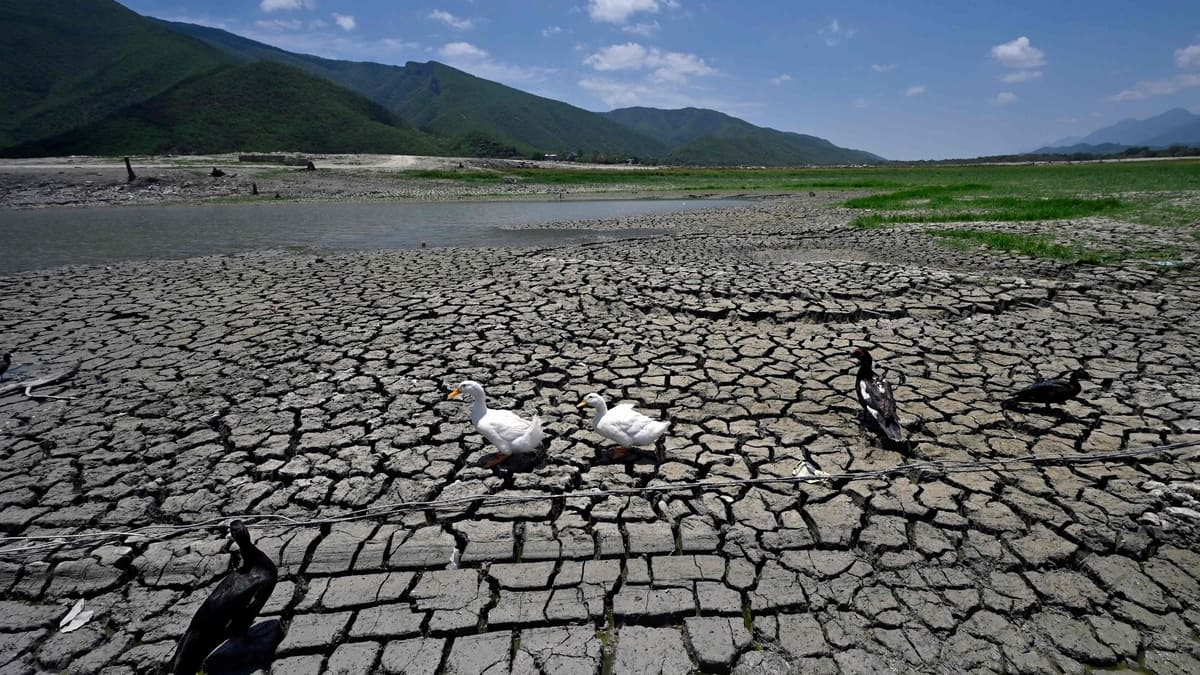 Après la sécheresse, des pluies mortelles au Mexique | TVA Nouvelles