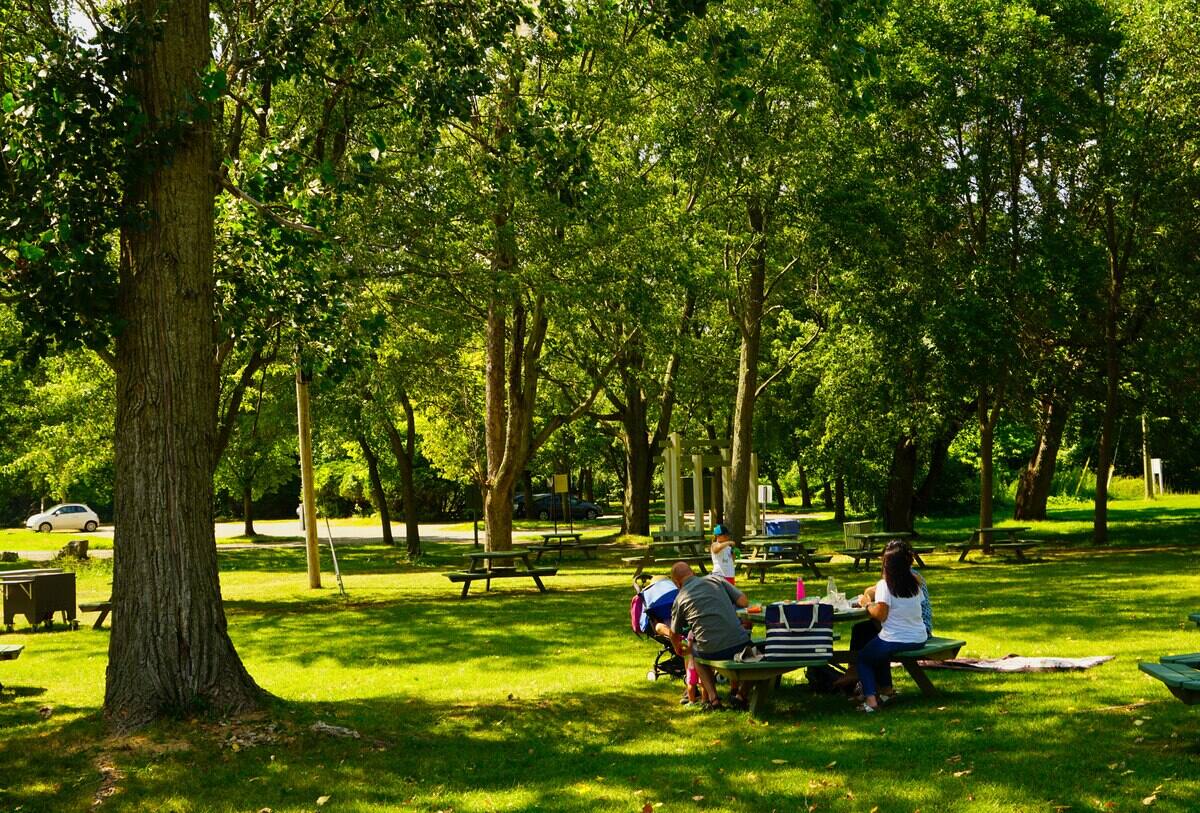Le Plus Grand Parc Urbain Au Canada Le Grand Parc De L Ouest Verra Le Jour 24 Heures Mtl