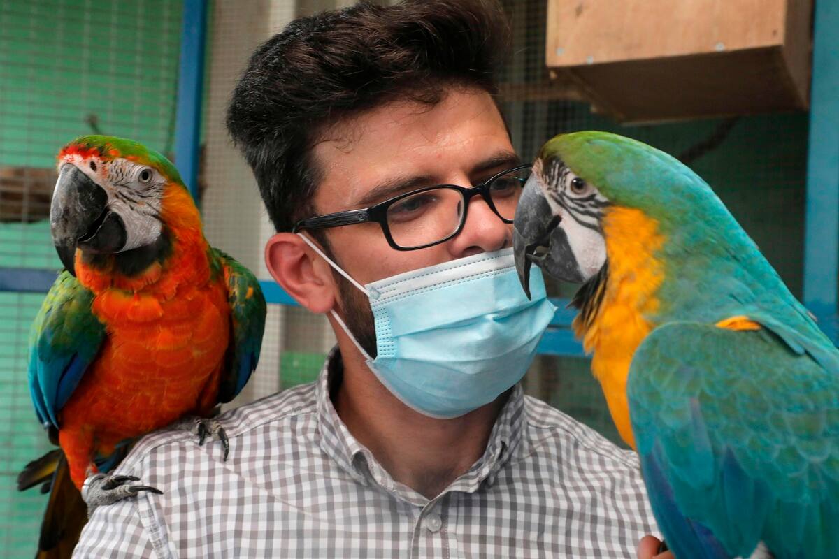 EN DIRECT | Les derniers d&eacute;veloppements sur le coronavirus