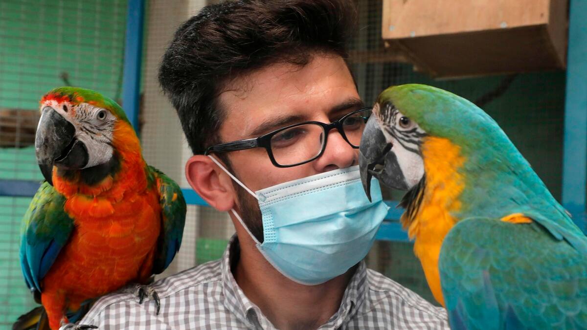 EN DIRECT | Les derniers développements sur le coronavirus