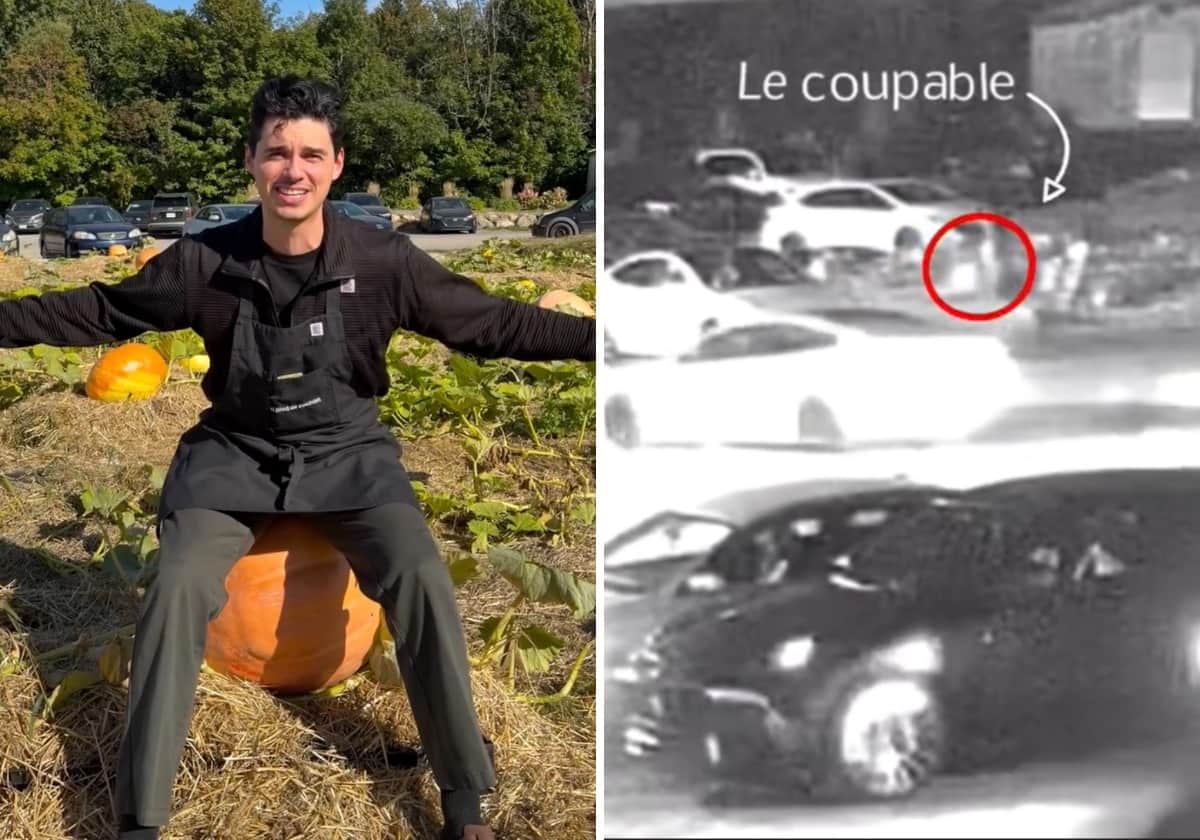 «Arrêtez de voler nos citrouilles!»: la cabane à sucre Au Pied de Cochon victime de vols