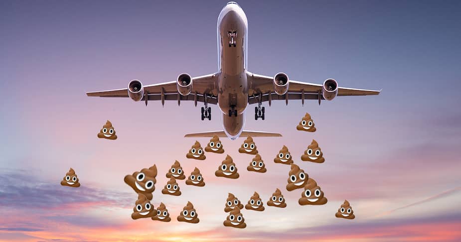 Image principale de l'article Tout ce qu’il y a à savoir sur les pluies de caca