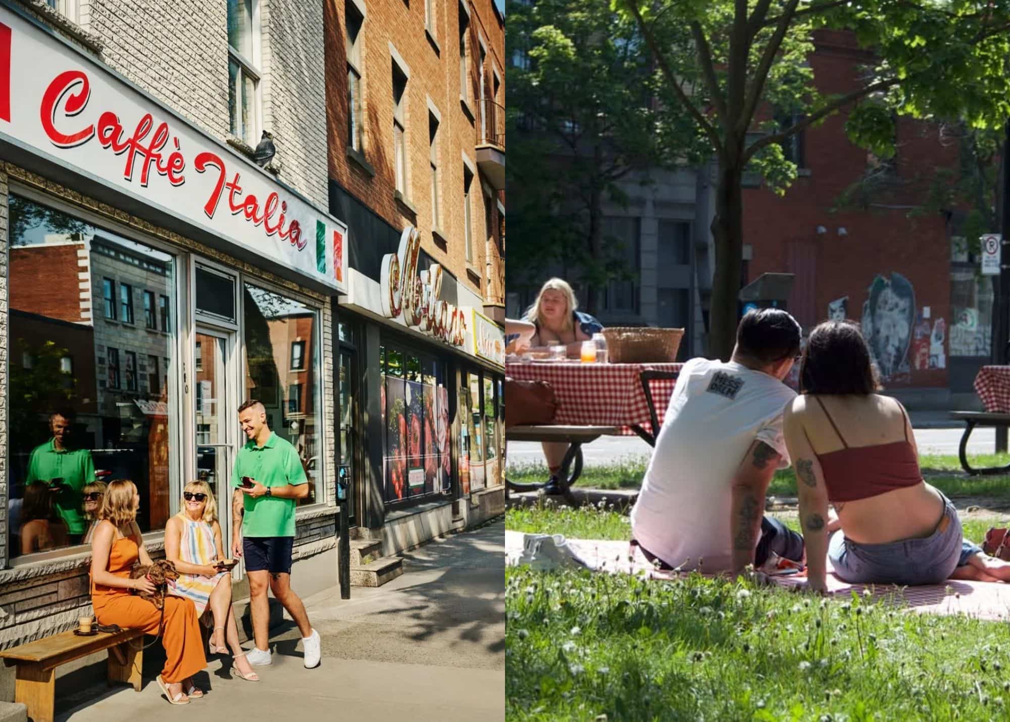 Des concerts sous les étoiles et des pique-niques