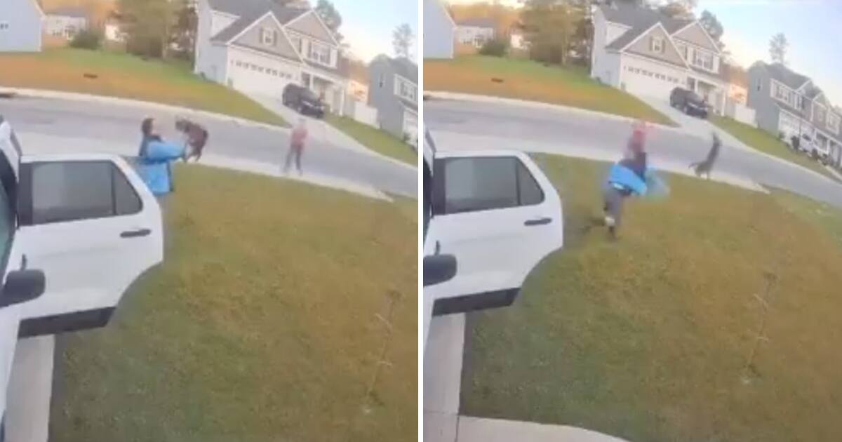 Il lance un félin enragé au bout de ses bras