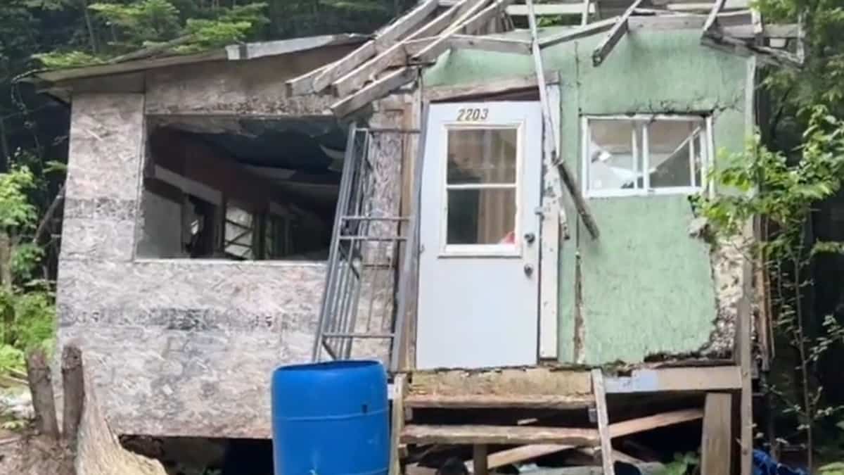 Hausse des campements illégaux en forêts publiques