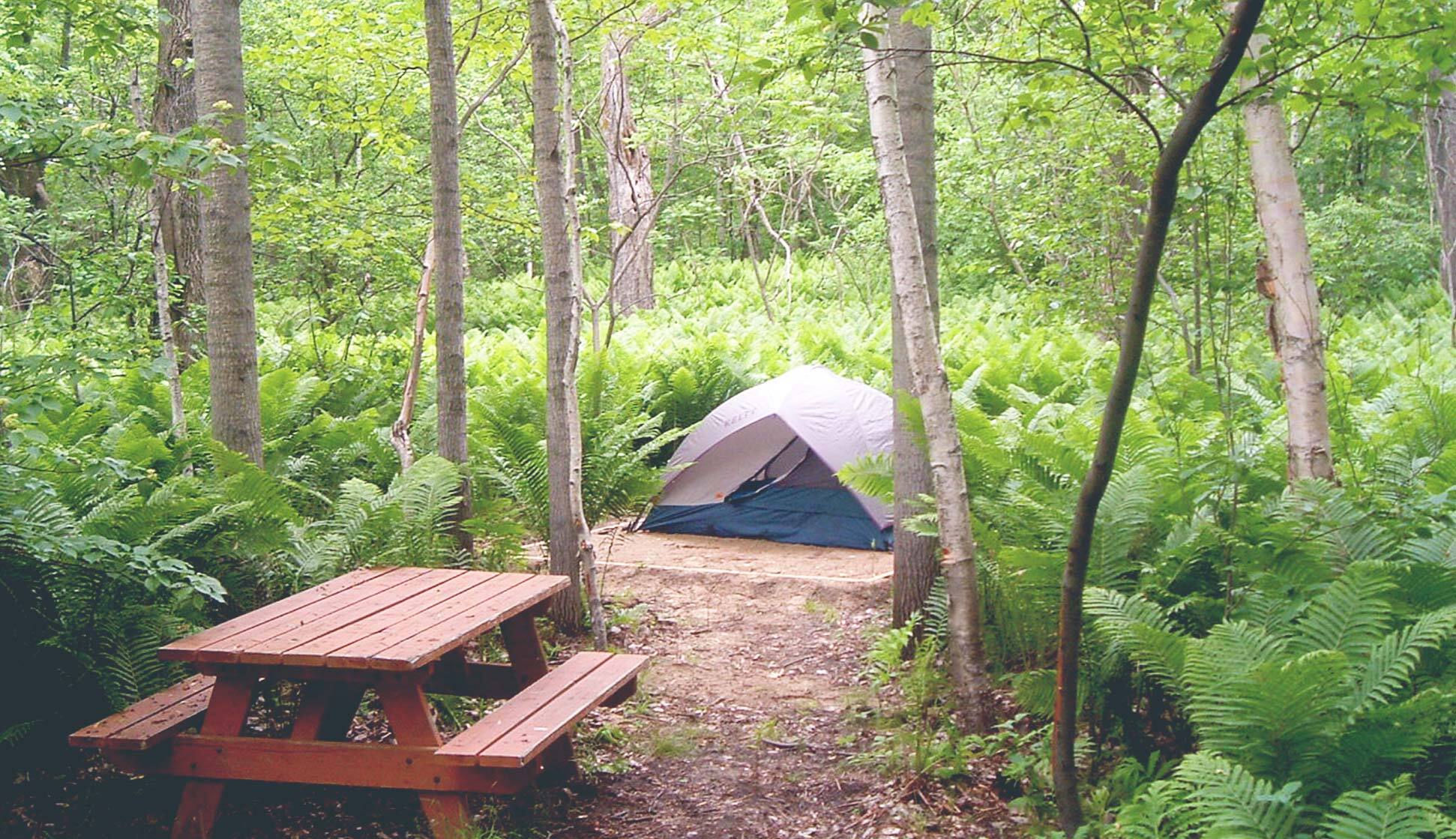 Ces 10 beaux campings rustiques au bord de l’eau vont vous donner envie ...