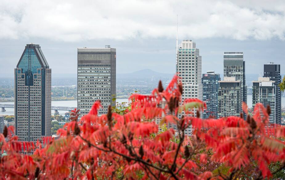 Image principale de l'article Comment relancer le centre-ville de Montréal?