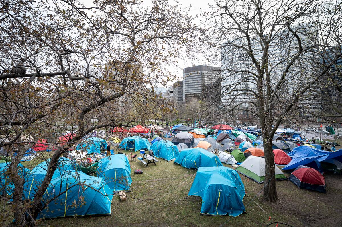 Campement propalestinien: McGill a demand&eacute; l&rsquo;intervention des policiers